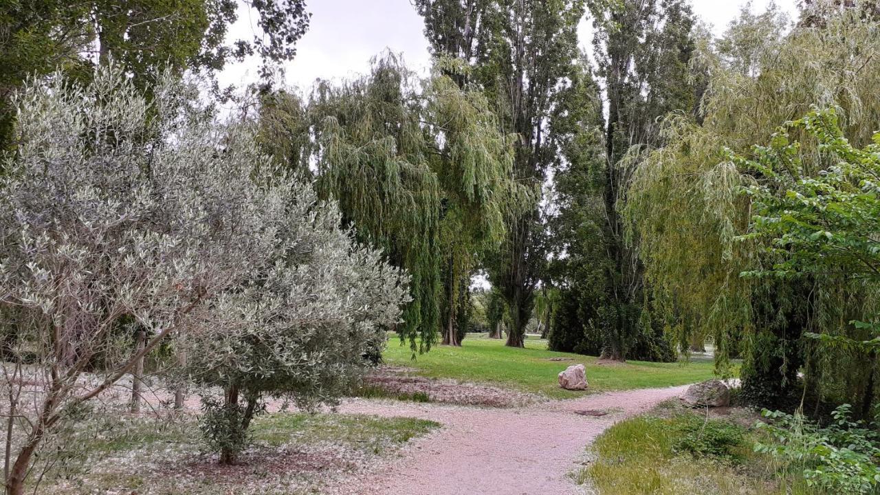Studio 24 M2 - Hameaux De Camargue - Village 9 - 13200 Arles Esterno foto