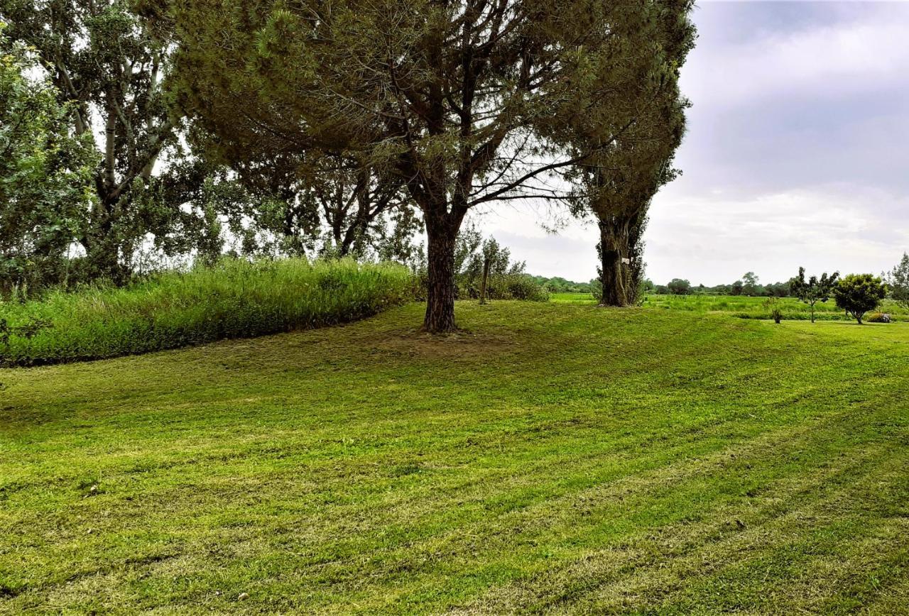 Studio 24 M2 - Hameaux De Camargue - Village 9 - 13200 Arles Esterno foto